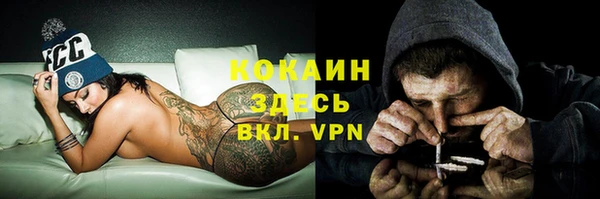 амф Алексин